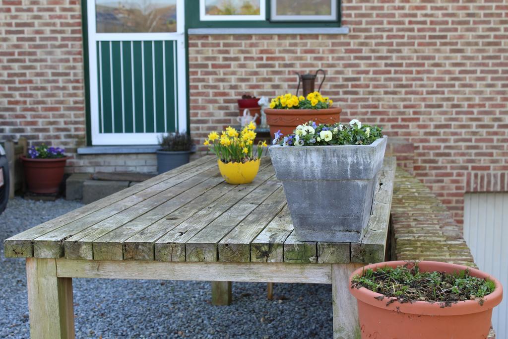 B&B De Vroling Wellen Esterno foto