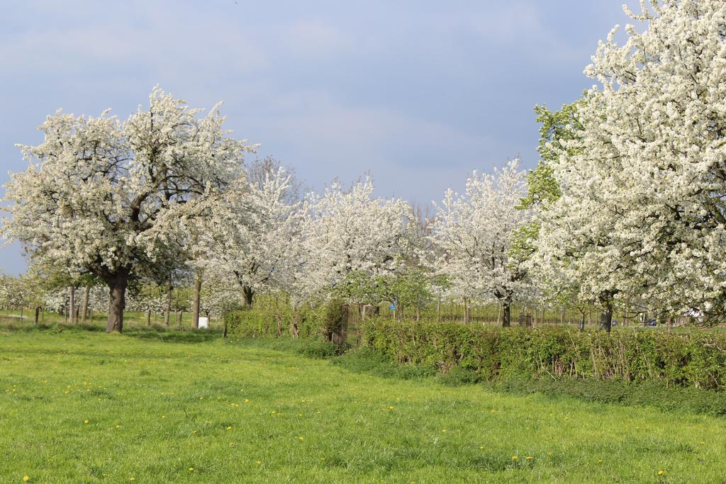 B&B De Vroling Wellen Esterno foto